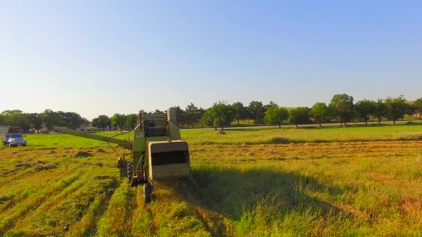 Skördetröska lämnar hö på fältet efter klippning — Stockvideo