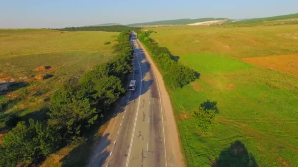 Luftaufnahme. Spur mit fahrenden Autos zwischen Feldern — Stockvideo