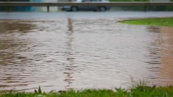 De auto rijdt via een vuile Plas — Stockvideo