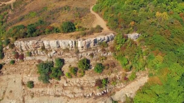 VUE AÉRIENNE. Crête de la montagne Demerji envahi par les arbres verts — Video