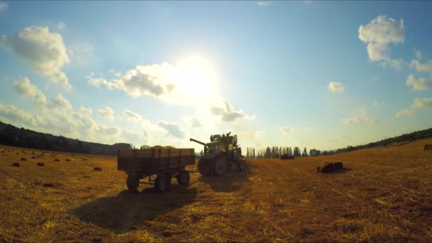 Трактор і комбайн залишають поле після сільськогосподарських робіт — стокове відео
