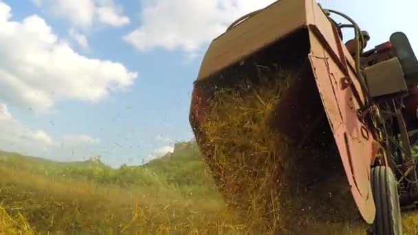 Mähdrescher erntet und schüttet Heu auf das Feld — Stockvideo