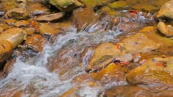 El flujo de un río de montaña sobre rocas — Vídeos de Stock