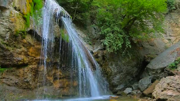 Waterfall in the forest, mossy hills — Stock Video