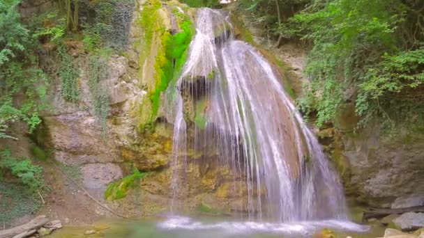 Ein kleiner Wasserfall im Wald — Stockvideo
