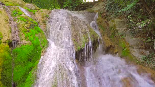 Cascada en el bosque, arroyos de agua fluyen por rocas musgosas y rocas — Vídeos de Stock