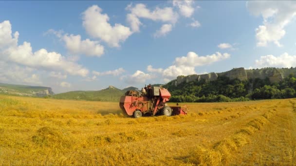 Erntemaschine erntet, fährt durch das Feld — Stockvideo