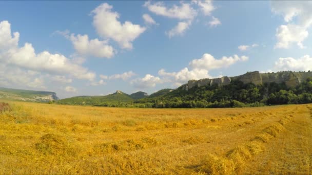 Colheitadeira monta o campo e colheitas — Vídeo de Stock