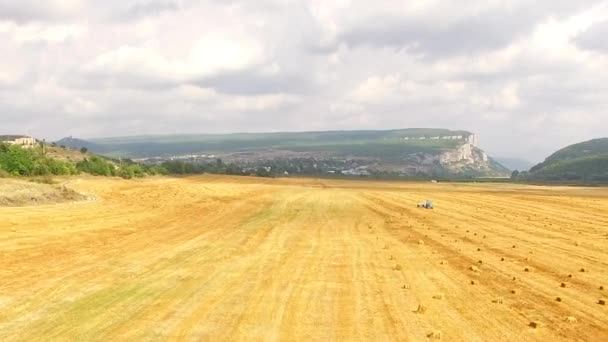 Quadrocopter fliegt über das Herbstfeld — Stockvideo