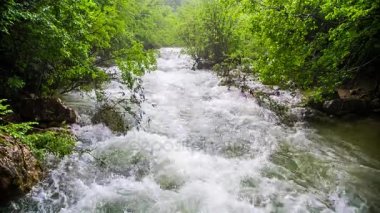 Tehlikeli bir fırtınalı nehir orman