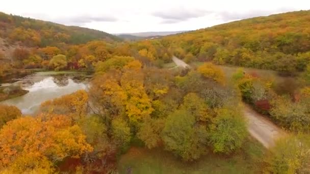 Forêt d'automne et étang à partir de la hauteur du vol des oiseaux 