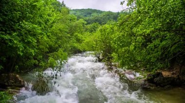 Fırtınalı dağ nehir orman