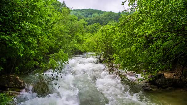 Fiume di montagna tempestoso nella foresta — Video Stock