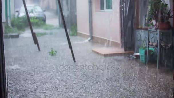 La chica corre bajo la lluvia — Vídeos de Stock