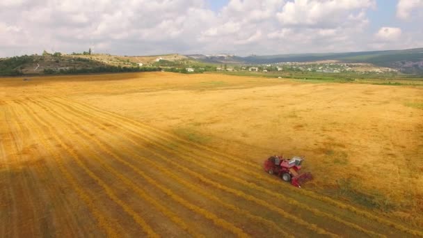 Θεριζοαλωνιστική μηχανή εργάζεται στο πεδίο, σύννεφα κολυμπούν κατά μήκος του πεδίου — Αρχείο Βίντεο