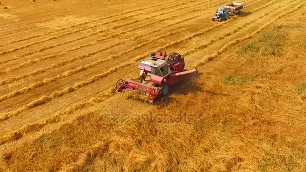 Человек работает в поле на комбайне, к нему подъезжает трактор — стоковое видео