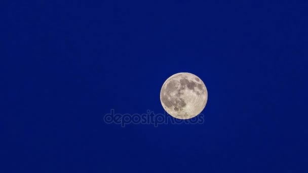 Full Bright Halloween Moon Moves On Blue Background — Stock Video