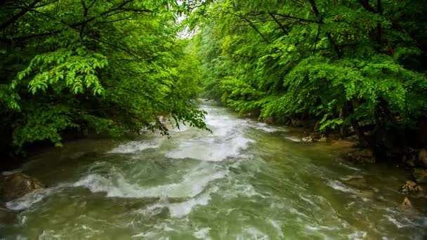 Flujo incómodo de un río de montaña — Vídeos de Stock