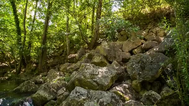 Bloque de piedra y río de montaña — Vídeos de Stock