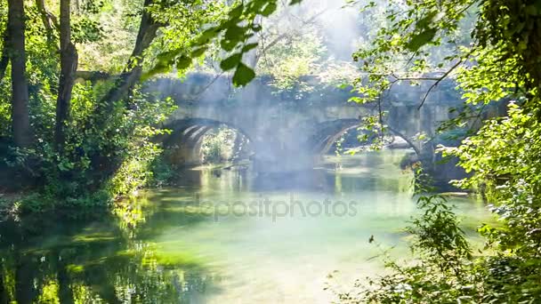 Il vecchio ponte sul fiume della foresta, il gioco di luce e fumo — Video Stock