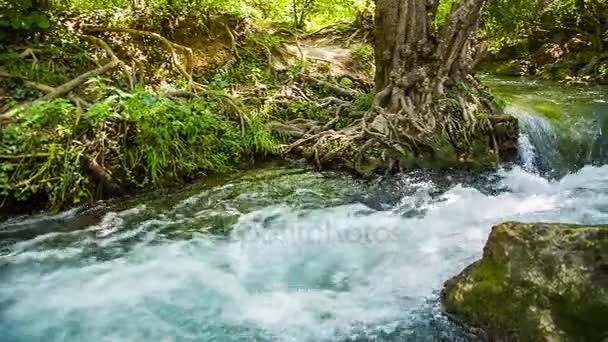 Salpicaduras de corriente rápida del río vuelan en el si — Vídeos de Stock