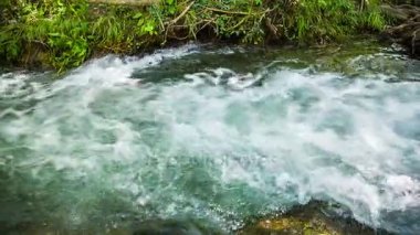 Orman nehir fırtınalı akışı