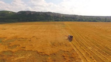 Bir biçerdöver buğday hasat