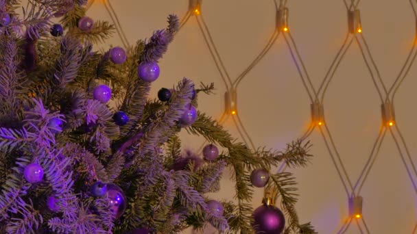 Weihnachtsbaumzweig mit Kugeln geschmückt — Stockvideo