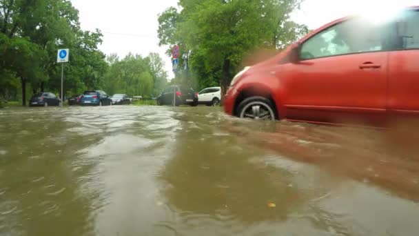 Bilar rör sig långsamt i vatten — Stockvideo