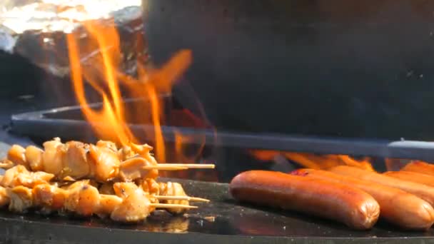 Enchidos e carne em chamas — Vídeo de Stock
