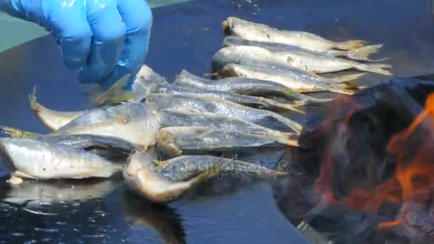 Cocinar pescado a fuego abierto en la barbacoa — Vídeos de Stock