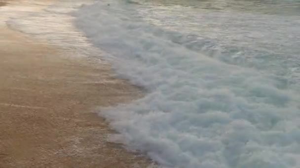 Vague à la rive a apporté un surfeur — Video