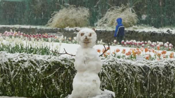 В весеннем парке был снеговик и шел снег. — стоковое видео