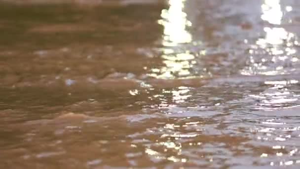 Maschinen auf einer überfluteten Straße. Zeitlupe. — Stockvideo