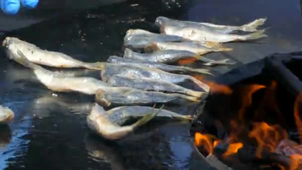 Cozinhar peixe em uma fogueira — Vídeo de Stock