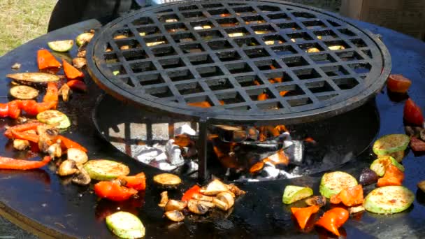 Le cuisinier jette du bois sur le feu du barbecue — Video