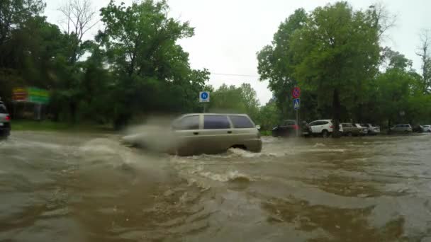 Autók meghajtó nagy eső után az úton — Stock videók