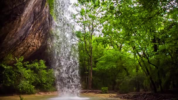 Waterval in een wild bos. Slow motion. — Stockvideo