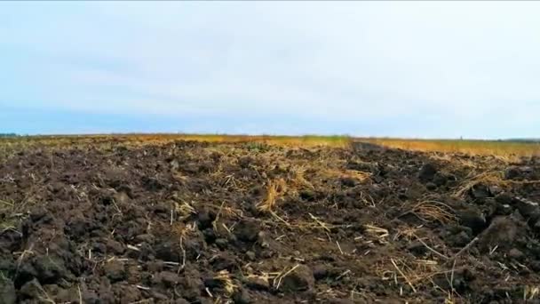 Заболоченная земля на поле — стоковое видео