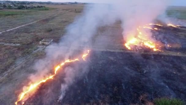 Feuer auf dem Feld. Zeitlupe. Vogelperspektive. — Stockvideo