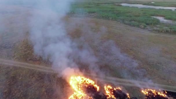 Вогонь на полі залишає за собою випалену землю. Повільний рух. вид з очей птахів . — стокове відео