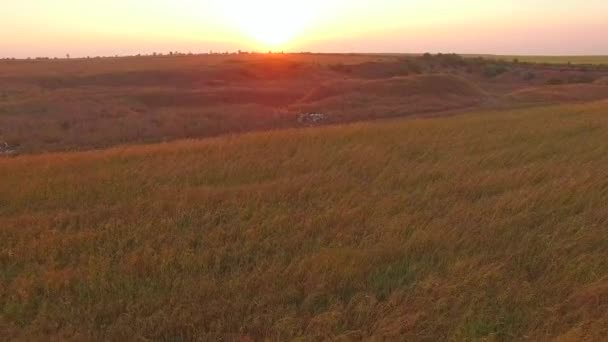 Політ над полями і пагорбами. Пташине око — стокове відео