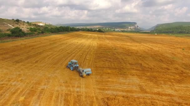 Voo sobre o campo com o tractor. Olho de pássaro . — Vídeo de Stock