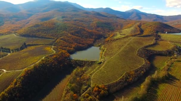 Paisaje otoñal con vista a pájaros — Vídeo de stock