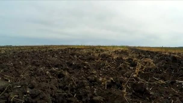 Вспахал землю на поле. Медленное движение . — стоковое видео