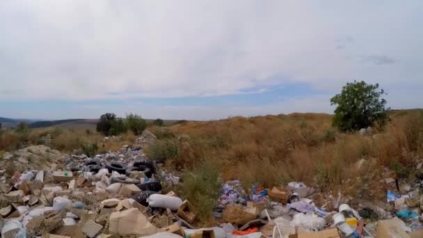 Garbage dump in overgrown bushes. Slow motion. — Stock Video