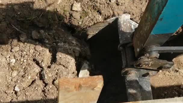 Le mâle creuse la terre dans les tranchées — Video