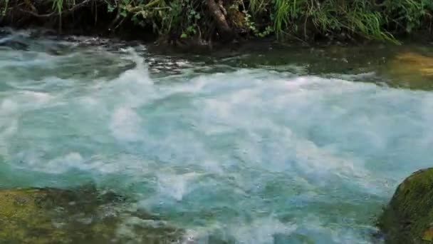 Пена в быстрой горной реке — стоковое видео