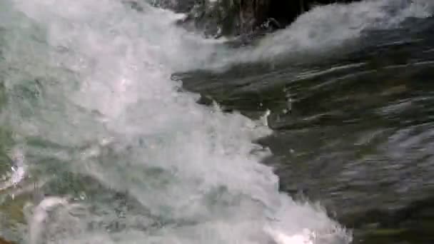 Быстрый поток воды образует пену — стоковое видео