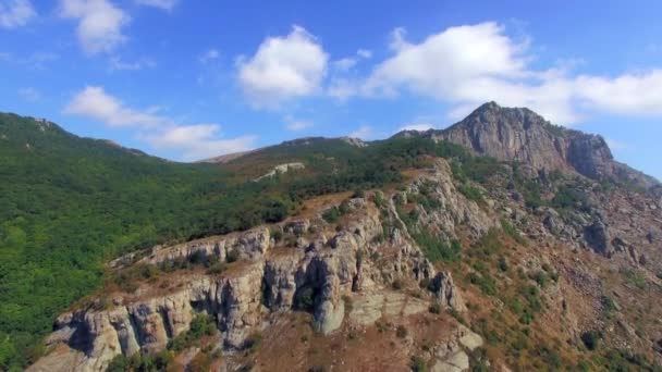 La caméra s'élève au-dessus de la crête. oiseaux vue d'oeil . — Video